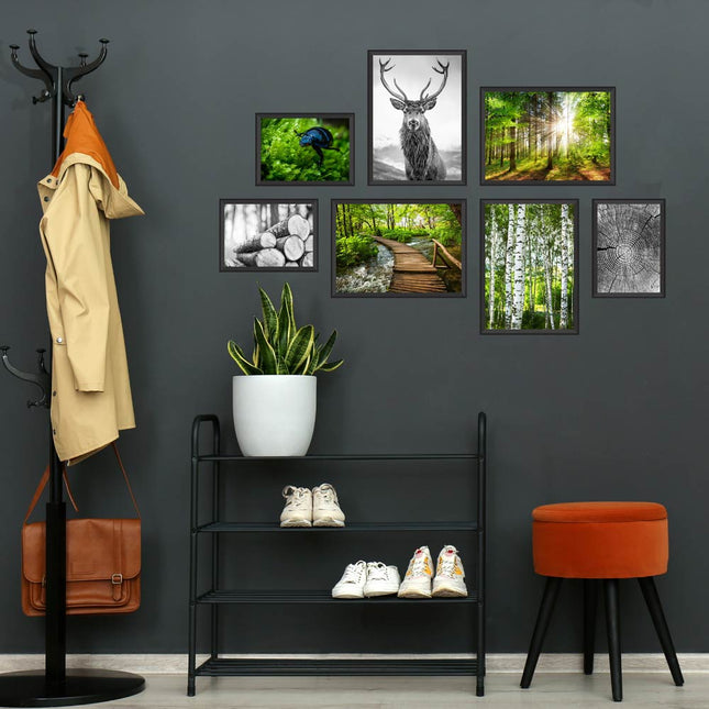 Poster-Set - 7 Poster - beidseitig<br/>"Wald"