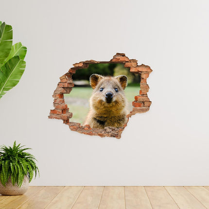 Wandaufkleber Wandtattoo in Form eines Wanddurchbruchs  mit einem Quokka als Hauptbild im Flur