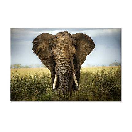 Leinwandbild mit imposanten Elefanten in Afrika in 3 Größen erhältlich bei Dekoli.de